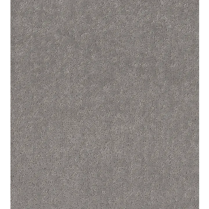 Shaw Floors Home Within — Vintage · 5E583-00509 — flooring selection with LeviArs Design & Remodeling