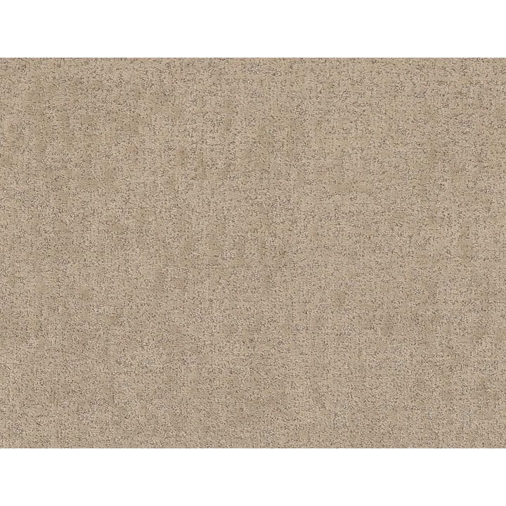 Shaw Floors Home Within — Worn Path · 5E583-00700 — flooring selection with LeviArs Design & Remodeling