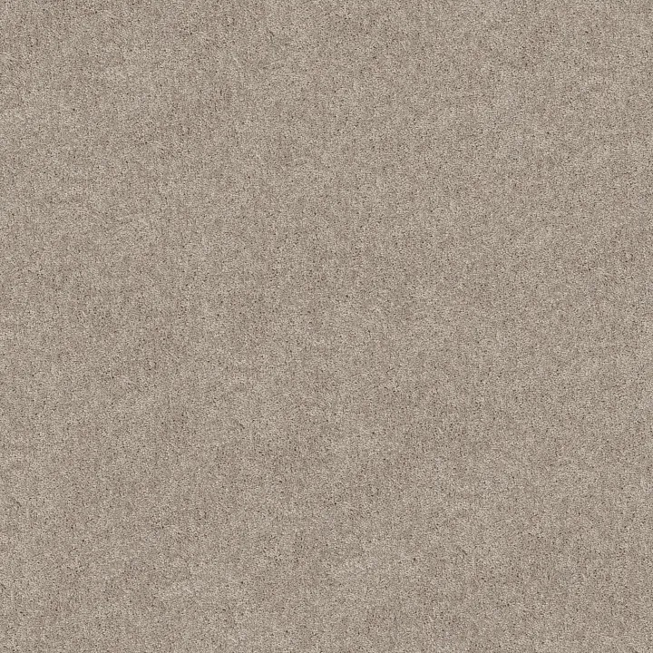 Shaw Floors Hot Topic — Bare Mineral · 5E880-00105 — flooring selection with LeviArs Design & Remodeling