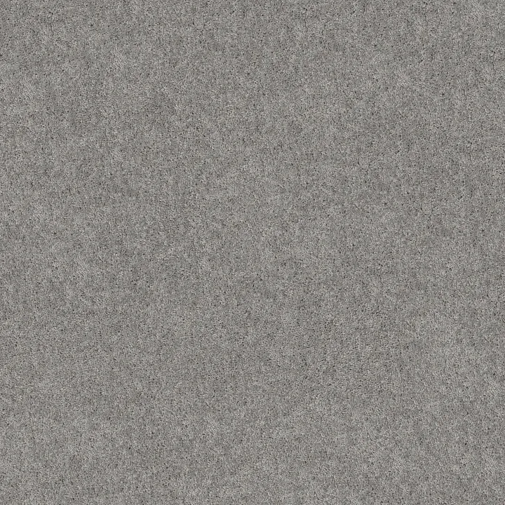 Shaw Floors Hot Topic — Dolphin · 5E880-00521 — flooring selection with LeviArs Design & Remodeling