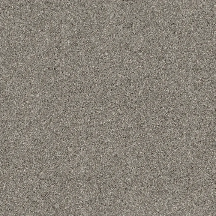 Shaw Floors Hot Topic — Flannel Gray · 5E880-00713 — flooring selection with LeviArs Design & Remodeling