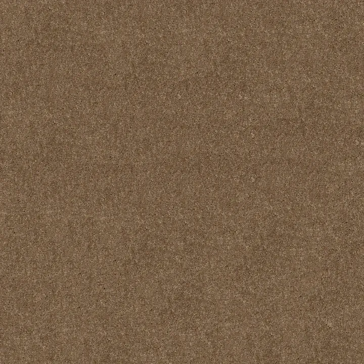 Shaw Floors Hot Topic — Meadowlark · 5E880-00102 — flooring selection with LeviArs Design & Remodeling