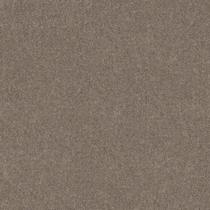 Shaw Floors Hot Topic — Quiet Tan · 5E880-00112 — flooring selection with LeviArs Design & Remodeling
