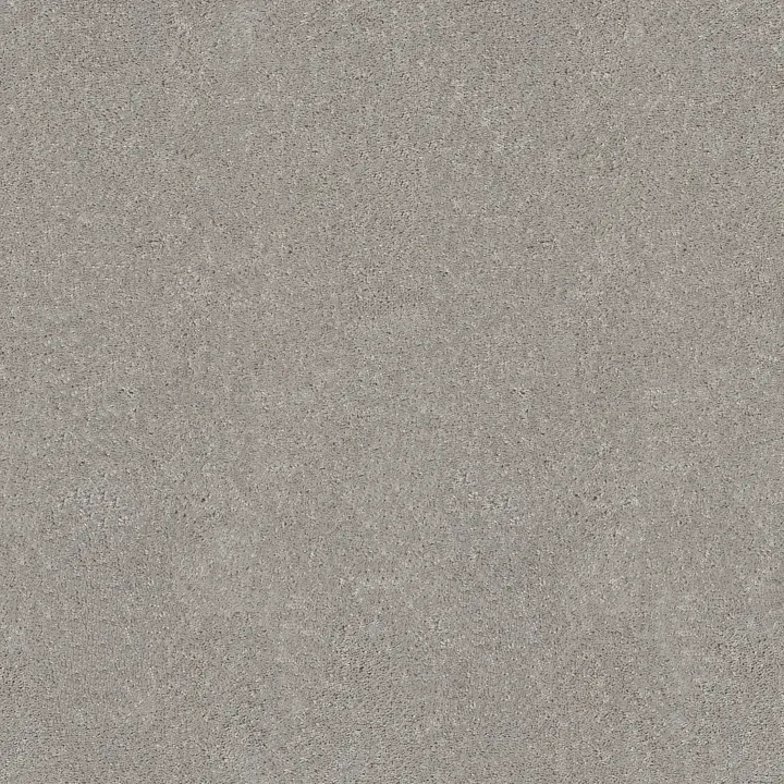 Shaw Floors Hot Topic — Silver Mist · 5E880-00540 — flooring selection with LeviArs Design & Remodeling