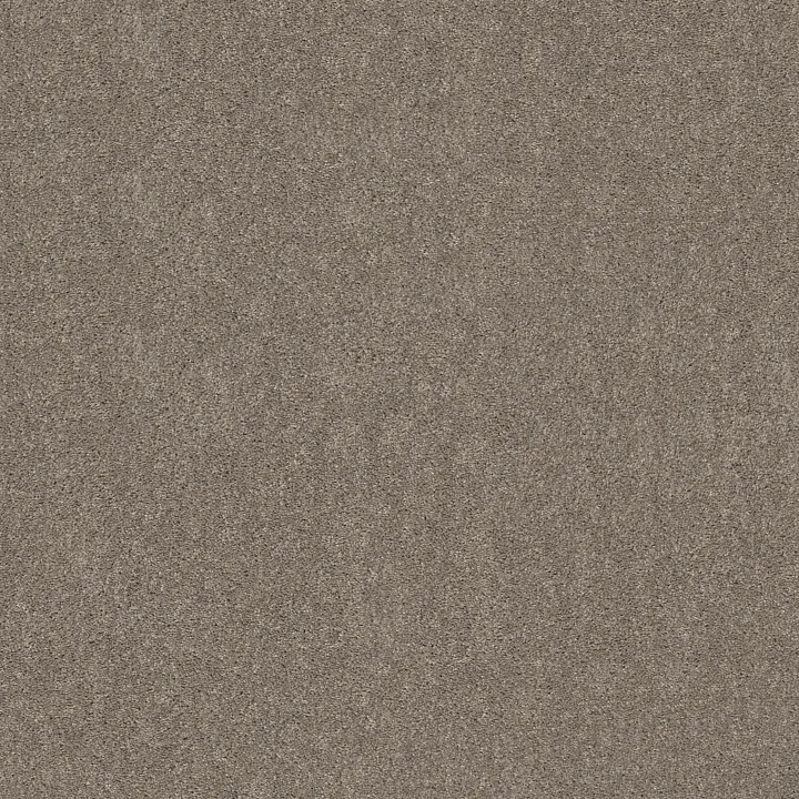Shaw Floors Hot Topic — Studio Loft · 5E880-00722 — flooring selection with LeviArs Design & Remodeling