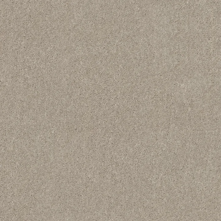 Shaw Floors Hot Topic — Sugar Cookie · 5E880-00122 — flooring selection with LeviArs Design & Remodeling