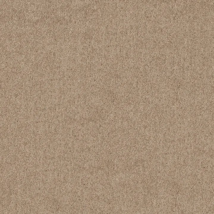 Shaw Floors Hot Topic — Tassel · 5E880-00107 — flooring selection with LeviArs Design & Remodeling