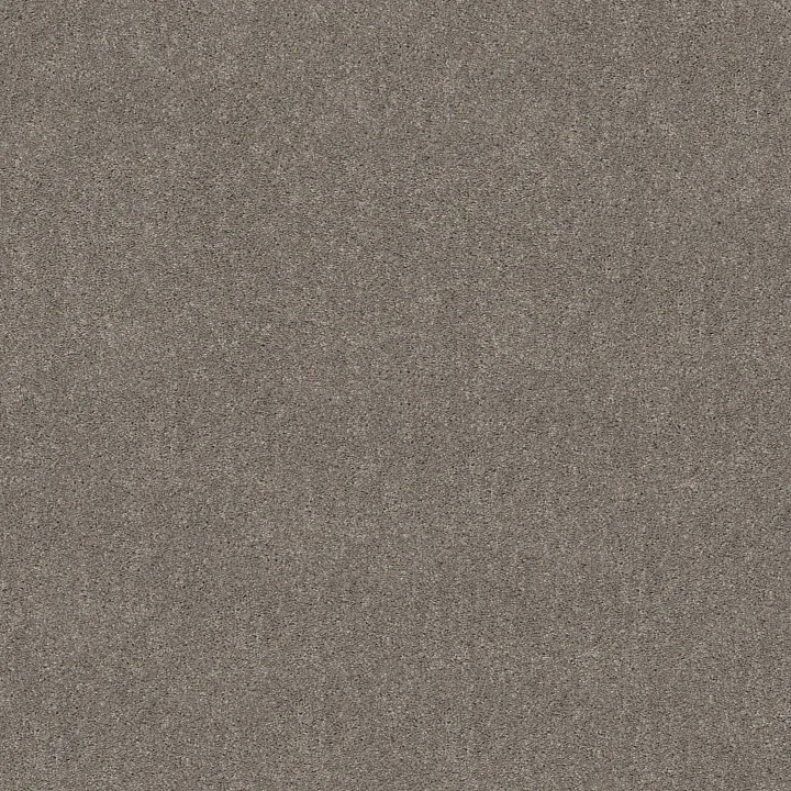 Shaw Floors Hot Topic — Winter Birch · 5E880-00510 — flooring selection with LeviArs Design & Remodeling