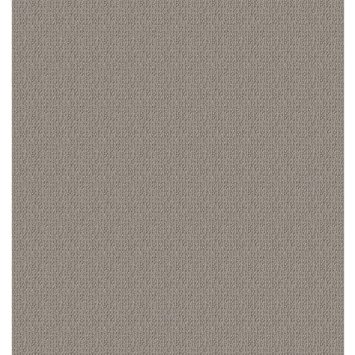 Shaw Floors Iconic Way — Asteroid · 5E450-00515 — flooring selection with LeviArs Design & Remodeling