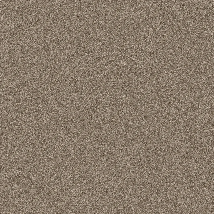 Shaw Floors Imaginable II — Clay · 5E912-00700 — flooring selection with LeviArs Design & Remodeling