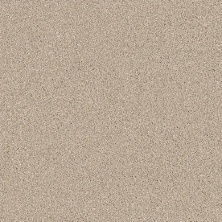 Shaw Floors Imaginable I — Dunes · 5E911-00100 — flooring selection with LeviArs Design & Remodeling