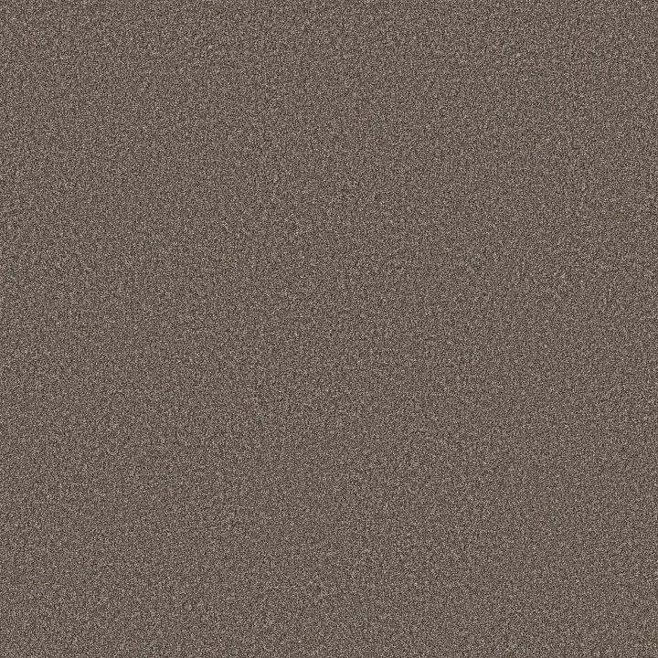 Shaw Floors Imaginable II — French Roast · 5E912-00721 — flooring selection with LeviArs Design & Remodeling