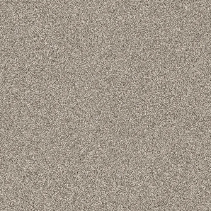 Shaw Floors Imaginable II — Granite Dust · 5E912-00720 — flooring selection with LeviArs Design & Remodeling