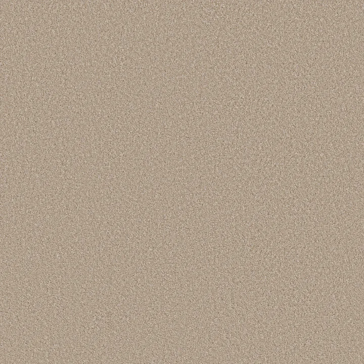 Shaw Floors Imaginable I — Latte · 5E911-00125 — flooring selection with LeviArs Design & Remodeling