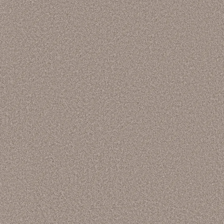 Shaw Floors Imaginable I — Misty Harbor · 5E911-00122 — flooring selection with LeviArs Design & Remodeling
