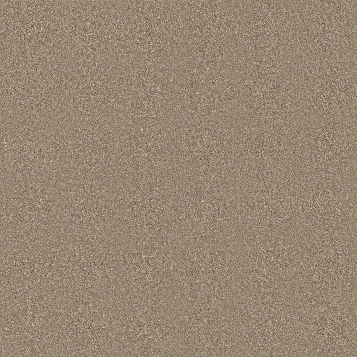 Shaw Floors Imaginable I — Raw Wood · 5E911-00220 — flooring selection with LeviArs Design & Remodeling