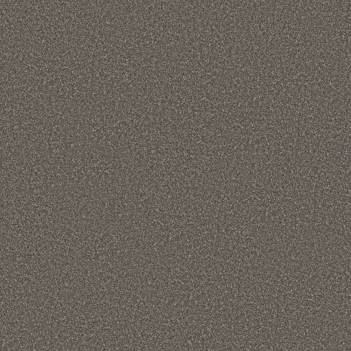 Shaw Floors Imaginable II — Sparrow · 5E912-00501 — flooring selection with LeviArs Design & Remodeling