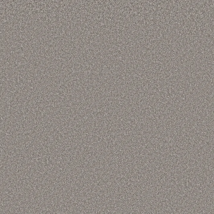 Shaw Floors Imaginable I — Stone Path · 5E911-00500 — flooring selection with LeviArs Design & Remodeling