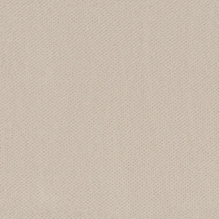 Shaw Floors Austin Park — Alabaster · 5E819-00172 — flooring selection with LeviArs Design & Remodeling
