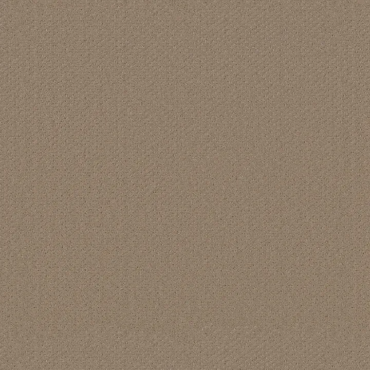 Shaw Floors Infallible Instinct — Biscotti · E9721-00783 — flooring selection with LeviArs Design & Remodeling