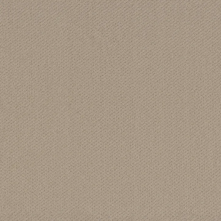 Shaw Floors Austin Park — Boutique · 5E819-00104 — flooring selection with LeviArs Design & Remodeling
