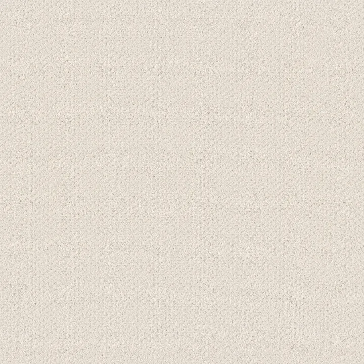 Shaw Floors Austin Park — Crisp Linen · 5E819-00171 — flooring selection with LeviArs Design & Remodeling