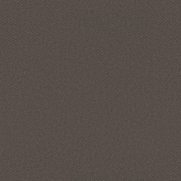 Shaw Floors Infallible Instinct — Front Gate · E9721-00773 — flooring selection with LeviArs Design & Remodeling
