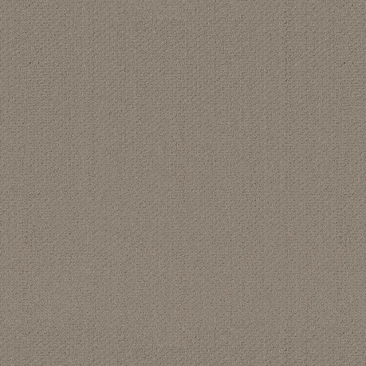 Shaw Floors Infallible Instinct — Park Avenue · E9721-00770 — flooring selection with LeviArs Design & Remodeling