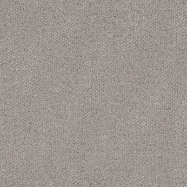Shaw Floors Austin Park — Quiet Moment · 5E819-00175 — flooring selection with LeviArs Design & Remodeling