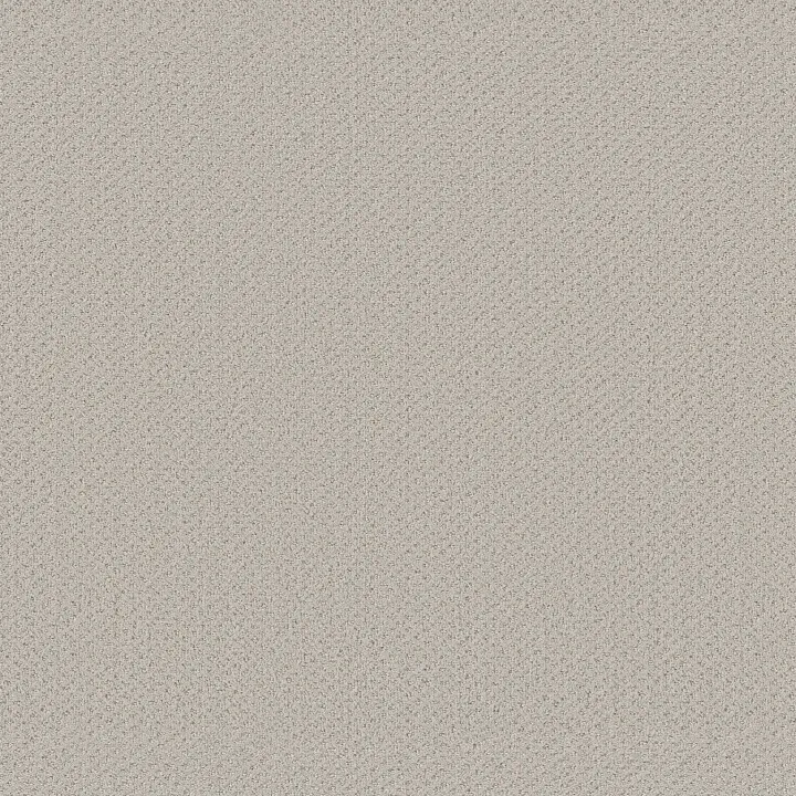 Shaw Floors Austin Park — Rock Crystal · 5E819-00574 — flooring selection with LeviArs Design & Remodeling