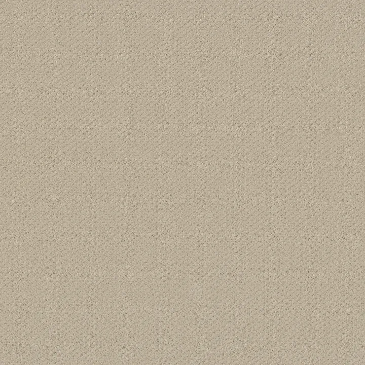Shaw Floors Austin Park — Sentimental · 5E819-00103 — flooring selection with LeviArs Design & Remodeling