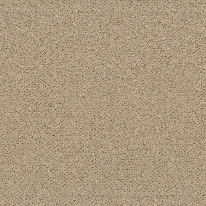Shaw Floors Austin Park — Soft Honey · 5E819-00102 — flooring selection with LeviArs Design & Remodeling