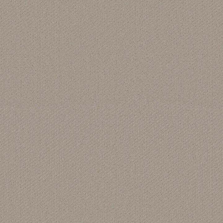 Shaw Floors Austin Park — Studio Taupe · 5E819-00173 — flooring selection with LeviArs Design & Remodeling