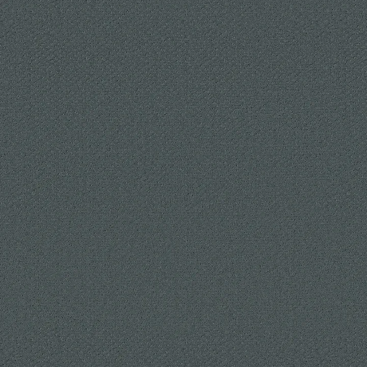 Shaw Floors Infallible Instinct — Voyage · E9721-00480 — flooring selection with LeviArs Design & Remodeling
