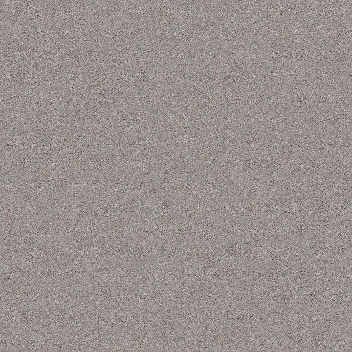 Shaw Floors Inlet Shore I 12' — Brushed Nickel · 5E788-58508 — flooring selection with LeviArs Design & Remodeling