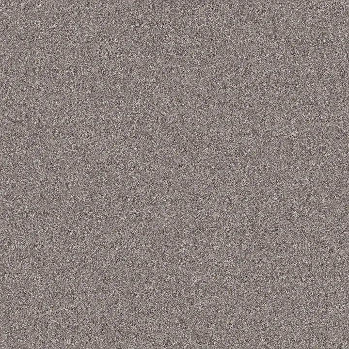 Shaw Floors Inlet Shore I 12' — French Buff · 5E788-58111 — flooring selection with LeviArs Design & Remodeling