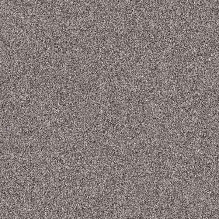 Shaw Floors Inlet Shore I 12' — Overcast · 5E788-58500 — flooring selection with LeviArs Design & Remodeling