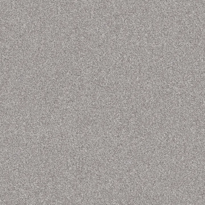 Shaw Floors Inlet Shore I 12' — Sheer White · 5E788-58107 — flooring selection with LeviArs Design & Remodeling