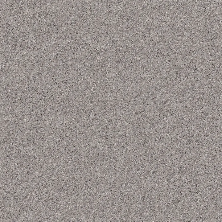 Shaw Floors Inlet Shore II 15' — Brushed Nickel · 5E791-58508 — flooring selection with LeviArs Design & Remodeling