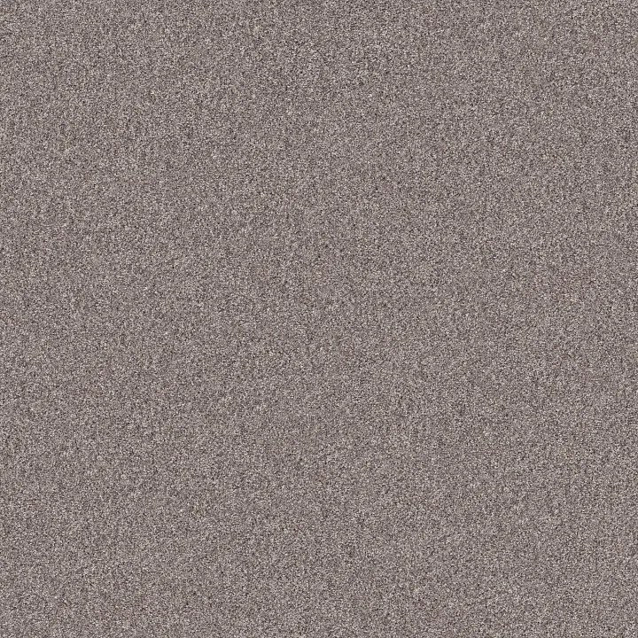 Shaw Floors Inlet Shore II 15' — French Buff · 5E791-58111 — flooring selection with LeviArs Design & Remodeling