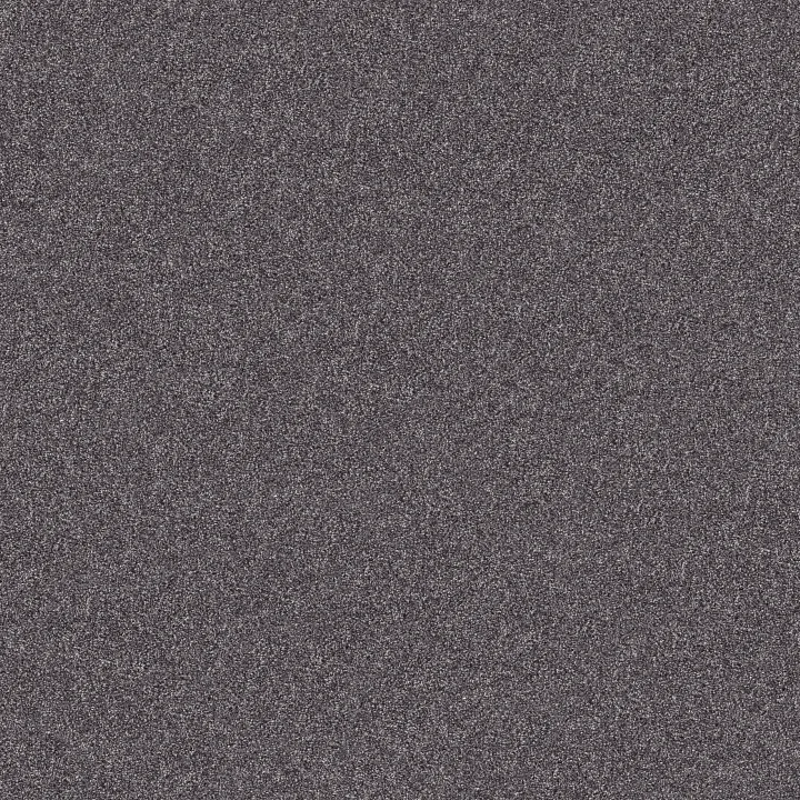 Shaw Floors Inlet Shore II 15' — Rod Iron · 5E791-58502 — flooring selection with LeviArs Design & Remodeling