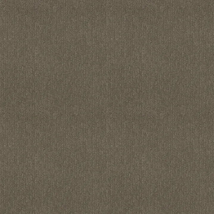 Shaw Floors Insightful Way — Abbey Stone · E9719-00771 — flooring selection with LeviArs Design & Remodeling