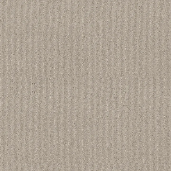 Shaw Floors Insightful Way — Alabaster · E9719-00176 — flooring selection with LeviArs Design & Remodeling