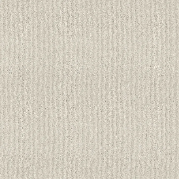 Shaw Floors Insightful Way — Crisp Linen · E9719-00172 — flooring selection with LeviArs Design & Remodeling