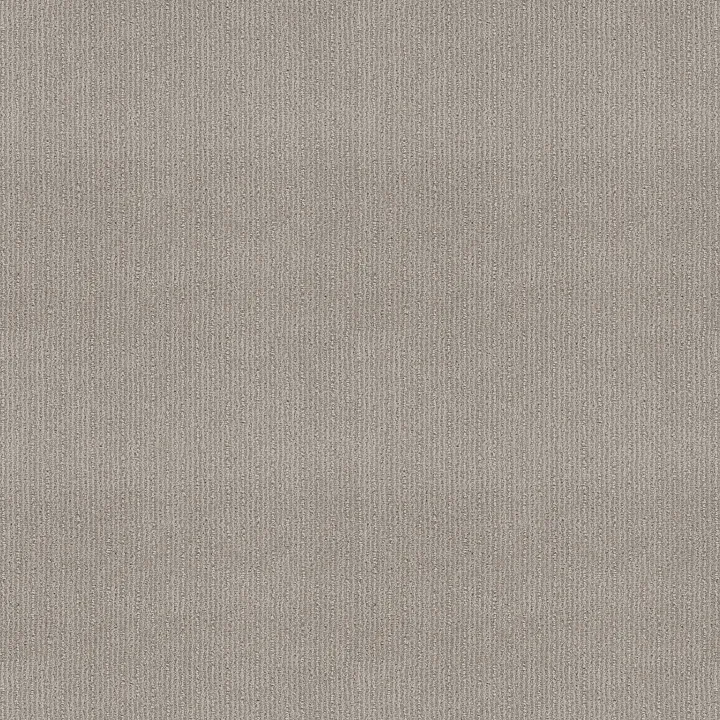 Shaw Floors Insightful Way — Etched Glass · E9719-00576 — flooring selection with LeviArs Design & Remodeling
