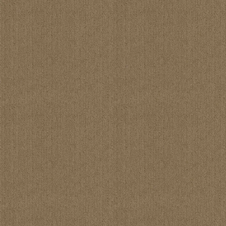 Shaw Floors Insightful Way — Gold Rush · E9719-00270 — flooring selection with LeviArs Design & Remodeling