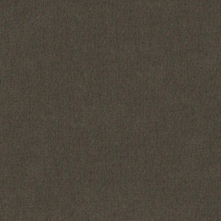 Shaw Floors Insightful Way — Iron Gate · E9719-00775 — flooring selection with LeviArs Design & Remodeling