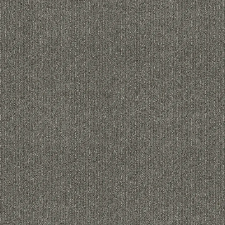 Shaw Floors Insightful Way — Metal · E9719-00577 — flooring selection with LeviArs Design & Remodeling