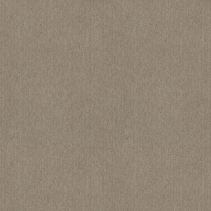 Shaw Floors Insightful Way — Park Avenue · E9719-00770 — flooring selection with LeviArs Design & Remodeling