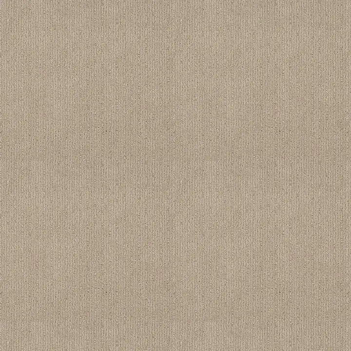 Shaw Floors Insightful Way — Passageway · E9719-00177 — flooring selection with LeviArs Design & Remodeling